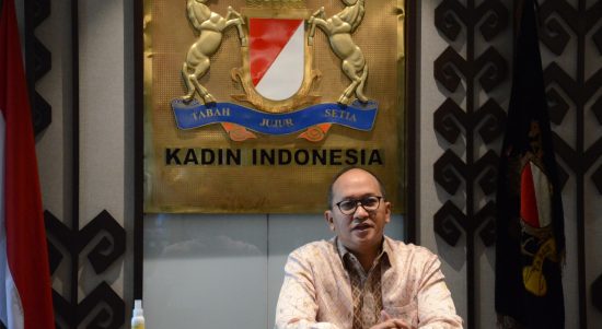 Ketua Umum Kadin Indonesia, Rosan P. Roeslani.