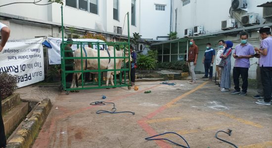 RS Siloam menyambut dan menyerahkan sejumlah hewan kurban yang diwakili oleh tim manajemen Siloam Hospitals Lippo Cikarang, Siloam Bekasi Sepanjang Jaya, Bekasi Timur, Siloam Purwakarta, Siloam Hospitals Mataram, dan MRCCC Siloam Hospitals Semanggi dalam perayaan Hari Raya Idul Adha 1444 H, Jumat, (30/6/2023), (Foto: Nia/Len).